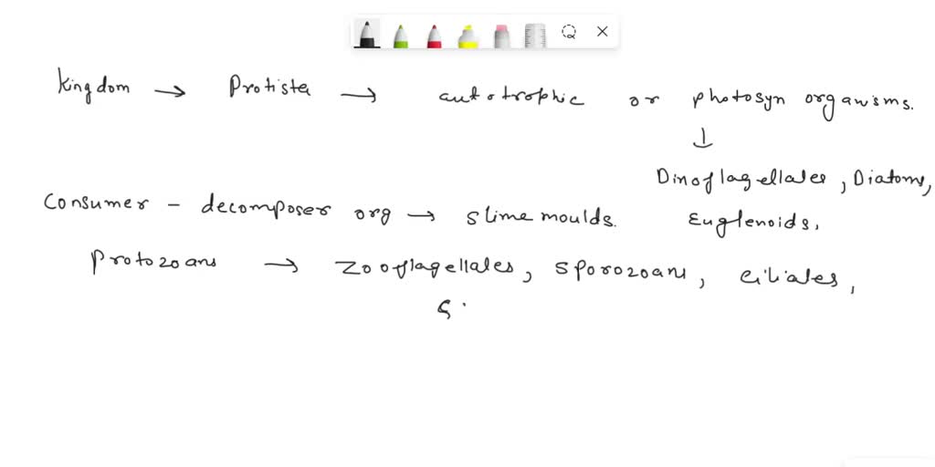 Solved: List The Two Major Types Of Nutrition And Give An Example Of A 