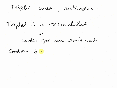 contrast-triplets-codons-and-anticodons-49075