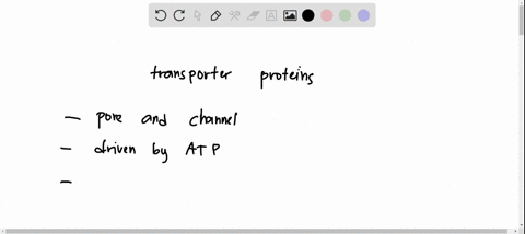 which-of-the-following-statements-islare-true-for-transport-across-biological-membrane-via-carrier-transporter-proteins-select-all-that-apply-transport-is-driven-by-solute-concentration-grad-31449