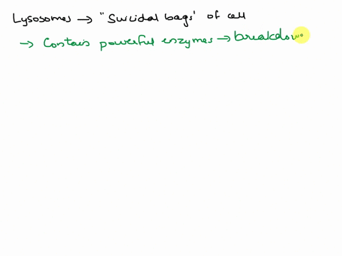 why-are-lysosomes-called-the-sudicial-bags-of-the-cell-62971