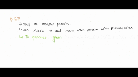 in-this-experiment-rnai-was-used-to-knockdown-3-genes-in-drosophila-cells-gfp-green-fluorescent-protein-ago1-argonaut-and-gw182-p-body-protein-cells-were-then-lysed-and-rna-was-subjected-to-56484