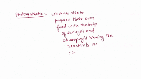 which-kingdom-of-organisms-is-photosynthetic-multicellular-eukaryotic-and-non-motile-41596