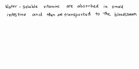 during-digestion-water-soluble-vitamins-are-absorbed-in-the-small-intestine-and-then-are-transported-to-the-liver-muscle-_-lymphatic-system-heart-30508