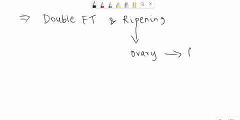 explain-the-relationship-between-ovary-and-fruit-73143