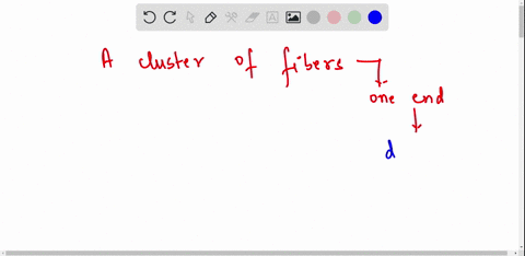 a-cluster-of-fibers-at-one-end-of-a-neuron-that-receives-messages-from-other-neurons-is-called-71173