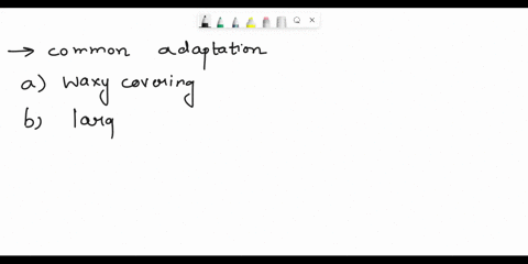which-of-these-is-a-common-adaptation-that-helps-desert-plants-conserve-water-a-waxy-coverings-on-leaves-and-stems-b-large-broad-leaves-c-powering-at-night-very-deep-root-systems-19808