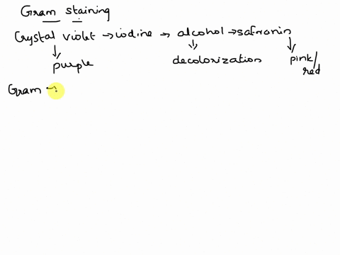 question-13-4-pts-you-have-prepared-smcar-and-performed-thc-gram-stain-your-ta-told-you-that-you-nad-a-gram-negative-organism-and-gnm-positive-but-vqusco-purple-cclls-what-could-have-bone-vr-82274