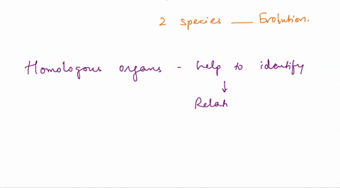 plzz-solve-the-question-31017
