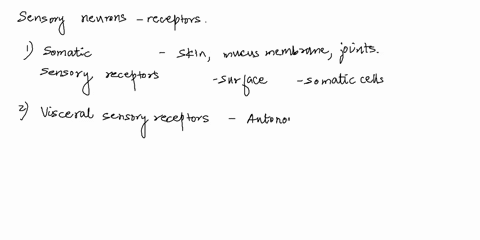 sensory-receptors-provide-the-brain-with-information-about-our-external-and-internal-environments-our-general-sense-receptors-include-1-sensory-receptors-which-are-housed-in-the-skin-mucus-m-04744
