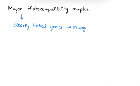 the-major-histocompatibility-complex-mhc-a-encodes-a-group-of-cell-surface-proteins-b-encodes-cert-2-49512