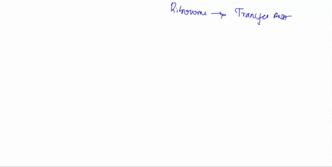 which-site-on-the-ribosome-never-occupies-and-uncharged-trna-translation-a-site-p-site-e-site-all-of-the-above-which-part-of-the-mrna-ensures-that-the-start-codon-is-positioned-at-the-p-site-94205