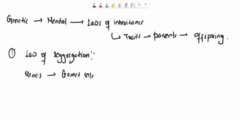 gregor-mendel-determined-that-all-traits-have-an-equal-chance-of-being-passed-to-the-next-generation-true-false-34027