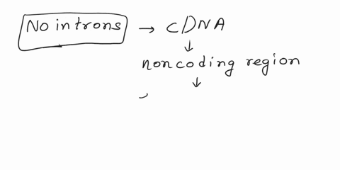 need-all-answers-please-quick-question-15-what-is-the-benefit-of-a-cdna-o-no-exons-o-no-introns-o-ideal-for-prokaryotes-o-amplication-of-any-dna-sequence-question-16-you-are-cloning-a-eukary-10256