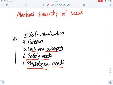 using-maslows-hierarchy-of-needs-analyse-what-kind-of-motivational-forces-might-have-motivated-the-great-mathematician-sa-ramanujan-and-the-great-shehnai-maestro-ustad-bismillah-khan-bharat-61416