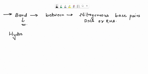 the-bond-between-t0-nitrogenous-base-pairs-in-dna-or-rna-very-important-the-functionality-of-these-nucleic-acids-what-type-of-bond-this-and-why-i5-important-ionic-creates-stability-wlthin-th-04096