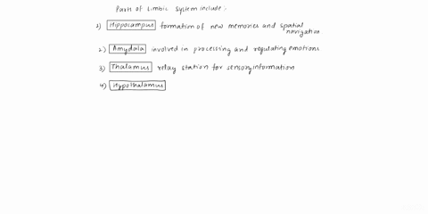 list-the-major-brain-regions-nuclei-and-structures-that-compose-the-limbic-system-10133