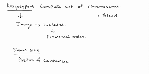 a-karyotype-reveals-a-the-shape-of-the-spindle-b-23-pairs-of-chromosomes-c-the-number-shapes-and-siz-01323