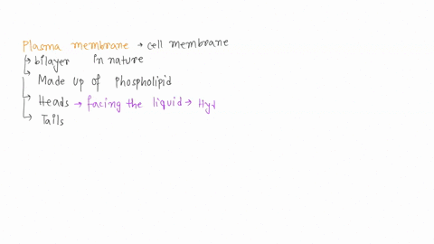 the-plasma-membrane-is-made-up-of-two-layers-of-molecules-one-end-the-phosphate-head-is-polar-and-is-in-contact-with-the-aqueous-watery-fluid-both-and-the-cell-therefore-this-region-is-said-61595