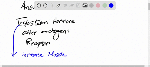 testosterone-is-a-hydrophobic-lipophilic-hormone-involved-in-the-regulation-of-many-male-characteristics-it-acts-in-multiple-tissues-resulting-in-a-variety-of-effects-in-each-tissue-such-as-52154