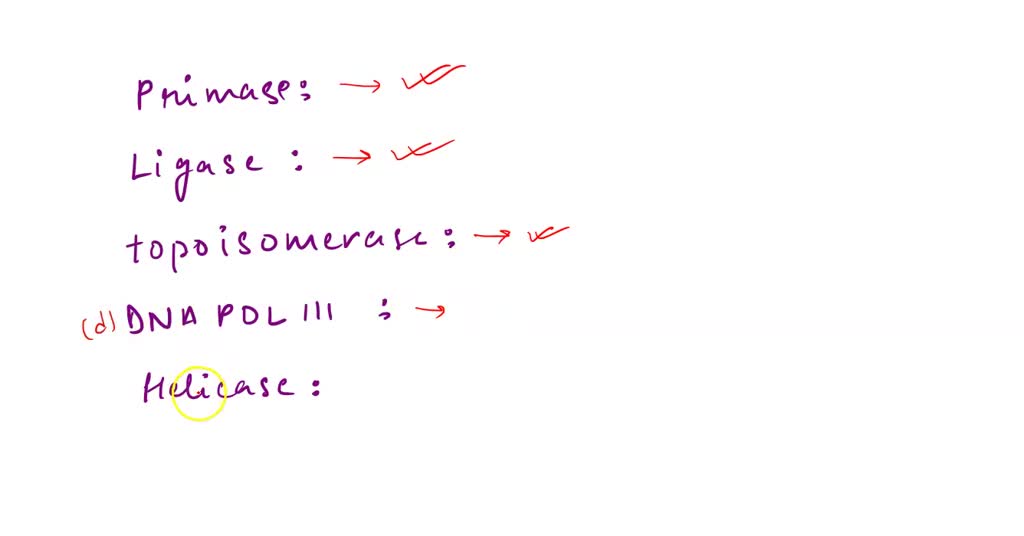 SOLVED 32 (2 points) Which of the following enzyme is mismatchedwith