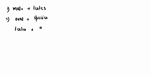the-are-the-male-male-reproductive-cells-are-formned-these-are-the-organs-where-the-testes-arc-generally-qal-among-species-in-shap-and-their-varle-the-testes-develop-ncar-the-abdomcn-portion-68572