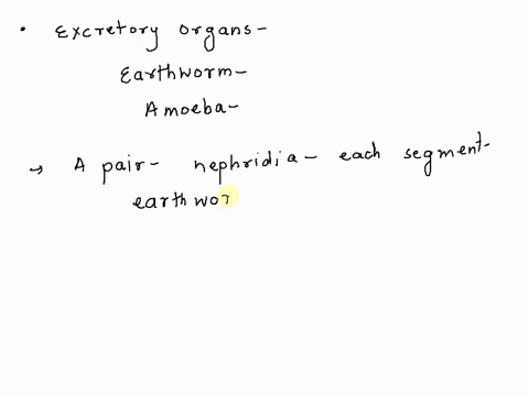 name-excretory-organ-in-amoeba-and-earthworm-09562