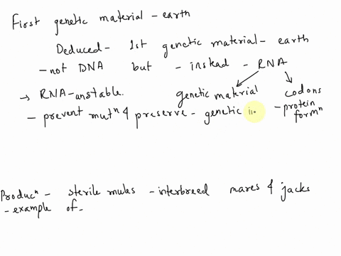 the-correct-sequence-events-the-origin-of-life-17-which-of-the-following-formation-protobiants-synthesis-orejnlc-monomcrs-synthesis-organic-polymers-tormation-dna-based-benetic-systems-ali-i-56813