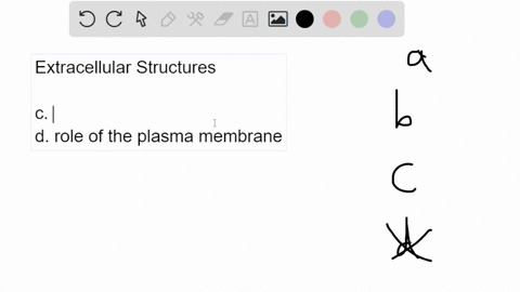 the-cell-walls-of-bacteria-fungi-and-plant-cells-and-the-extracellular-matrix-of-animal-cells-are-all-external-to-the-plasma-membrane-which-of-the-following-is-a-characteristic-common-to-all-76309