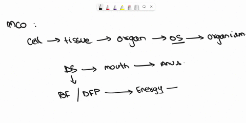 list-two-features-of-the-small-intestine-that-help-in-absorption-of-digested-food-42384