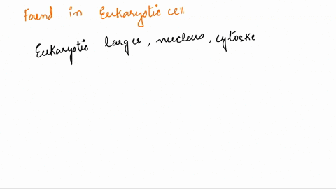 which-of-the-following-structures-would-you-expect-to-find-in-eukaryotic-cells-but-not-prokaryotic-cells-nucleus-flagcllum-plasma-membrane-dna-46597
