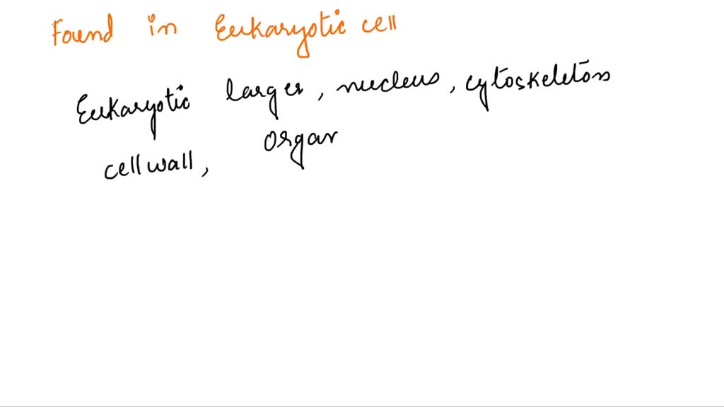 SOLVED Which of the following structures would you expect to find in eukaryotic cells but not