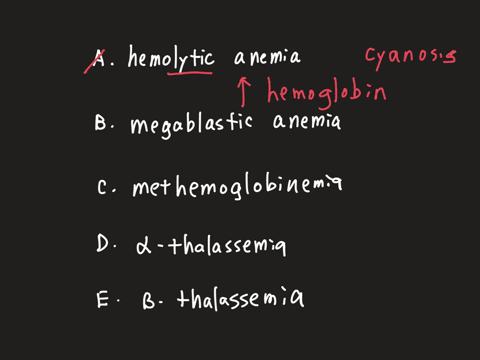 a-2-week-old-boy-is-brought-to-the-physician-because-of-persistent-cyanosis-hemoglobin-concentration-and-erythrocyte-morphology-are-normal-an-x-ray-of-the-chest-and-an-echocardiogram-disclose-no-abnor