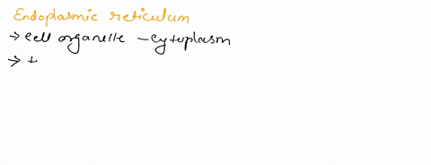 question-17-5-points-what-is-the-function-of-the-endoplasmic-reticulum-in-the-eukaryotic-cells-modifies-proteins-synthesizes-lipids_-directs-the-synthesis-of-ribosomes-and-proteins-organizin-15875
