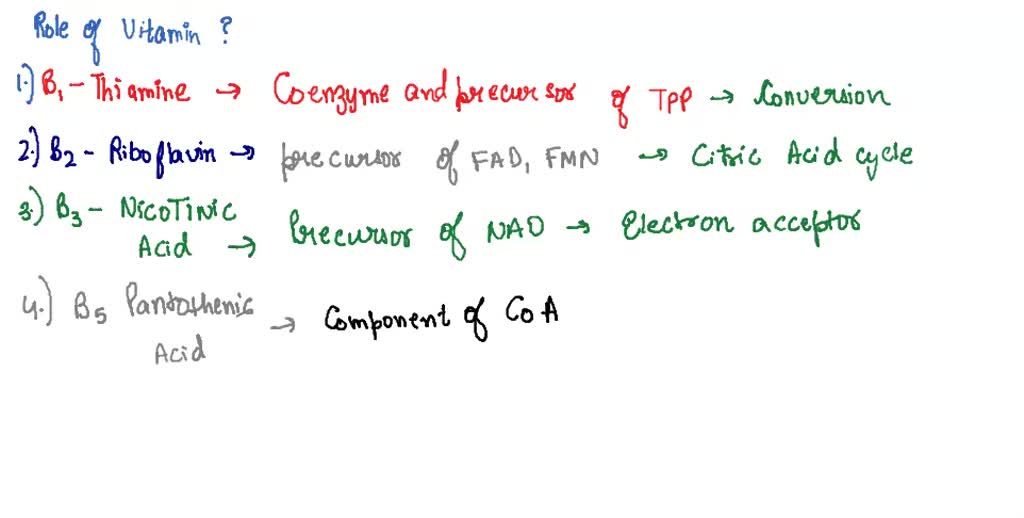 SOLVED Vitamin Function Major role in metabolism thiamine Coenzyme