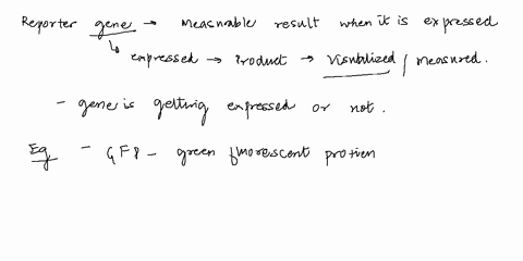 can-you-define-reporter-gene-and-describe-an-example-of-using-a-reporter-gene-to-monitor-gene-expression-43286