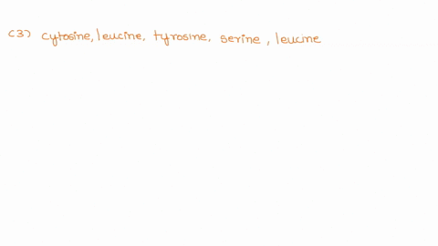 a-protein-molecule-consists-of-the-sequence-cytosine-leucine-tyrosine-serine-leucine-what-sequence-of-mrna-codons-would-be-responsible-for-forming-this-protein-cuu-uau-ucu-cuu-sometimes-mist-95395
