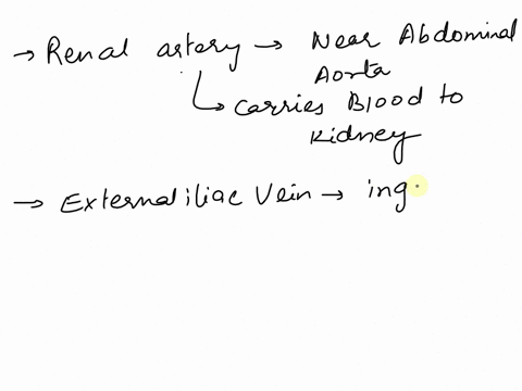 identity-the-vessel-inaicated-py-the-plue-arrow-kidnev-renal-artery-external-iliac-vein-caudal-vena-cava-uterine-artery-63279