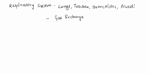 it-is-the-job-of-the-respiratory-system-to-_________-a-support-the-body-and-allow-movement-btransport-nutrients-and-oxygen-throughout-the-body-c-exchange-air-between-the-environment-and-the-44095
