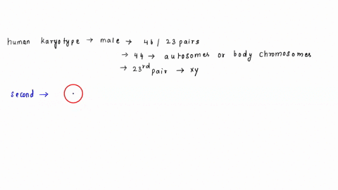 data-analysis-review-the-human-karyotype-below-and-label-them-appropriately-word-bank-normal-male-patau-syndrome-down-syndrome-klinefelter-syndrome-normal-female-edwards-syndrome-turner-synd-63166