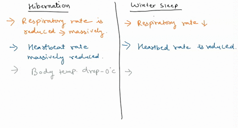 1-distinguish-between-hibernation-and-winter-sleep-do-black-bears-hibernate-or-are-they-just-sleeping-through-the-winter-2-what-animals-hibernate-and-which-ones-simply-engage-in-torpor-or-es-69226