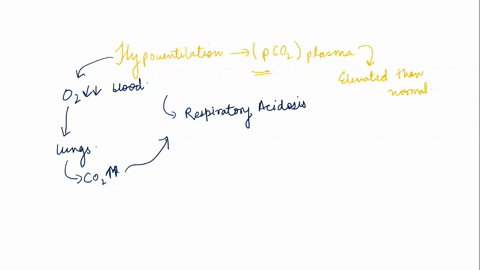a-person-who-suffers-from-hyperventilation-will-exhibit-signs-of-respiratory-acidosis-metabolic-alkalosis-metabolic-acidosis-respiratory-alkalosis-25259