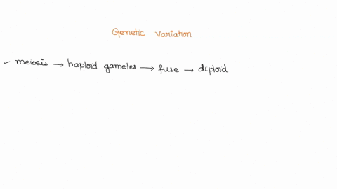 4-which-of-the-following-does-not-produce-genetic-variation-points-genetic-recombination-of-alleles-crossing-over-random-alignment-of-chromosomes-during-meiosis-sexual-reproduction-asexual-r-68747
