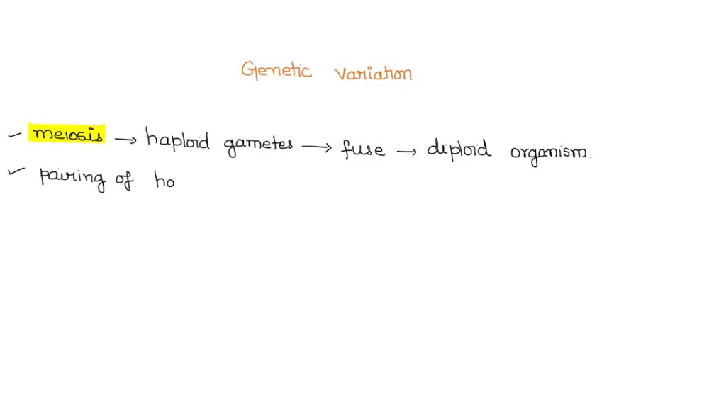 Solved 4 Which Of The Following Does Not Produce Genetic Variation Points Genetic