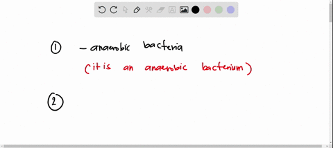 metronidazole-is-immediately-initiated-what-does-the-drug-indicate-about-c-difficile-a-it-is-a-resistant-bacterium-b-it-is-a-gram-positive-bacterium-c-it-is-an-anaerobic-bacterium-d-it-does-01296