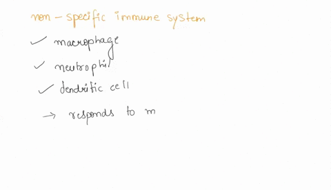 non-specific-immune-system-includes-all-of-the-following-except-a-phagocytosis-b-inflammation-c-production-of-t-cells-d-production-of-interferon-e-activation-of-complement-05256