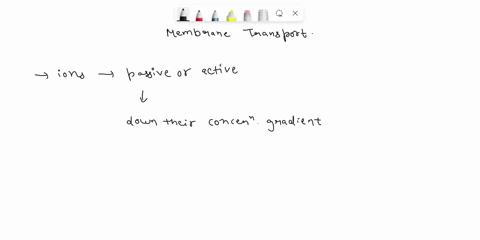 general-biology-laboratory-exercise-part-b-photosynthesis-worksheet-whlt-the-chemica-cquation-fcx-pholosynthesis-label-which-rc-fnemunne-prudugh-where-doc-gh-rexctunt-of-photosyrthesis-come-49189