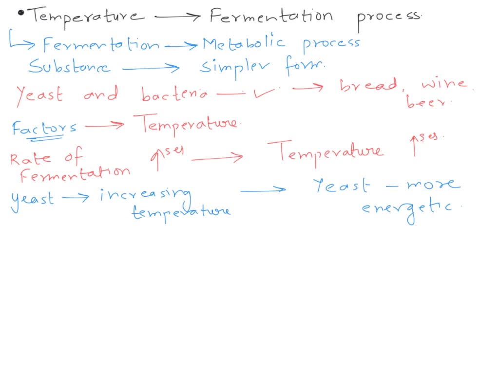 SOLVED Explain how temperature affects the fermentation process during