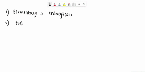 drag-the-appropriate-labels-to-their-respective-targets-reset-help-0-hour-vesicle-elementary-body-converts-to-reticulate-body-reticulate-body-converts-to-elementary-body-endocytosis-elementa-30852