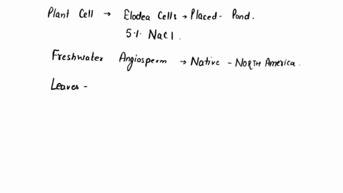 using-your-understanding-of-plant-cell-structure-explain-what-you-are-seeing-in-the-difference-between-elodea-cells-placed-in-pond-water-compared-with-cells-that-have-been-submerged-in-5-nac-08463