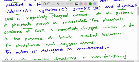 describe-the-structure-of-dna-and-explain-why-dna-is-negatively-charged-4-the-action-of-detergent-on-membranes-what-does-it-do-and-how-5-the-precipitation-of-dna-explain-the-role-of-sodium-i-82482